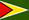 Flag of Guyana