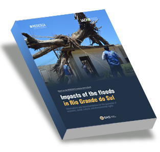 Impacts of the Floods in Rio Grande do Sul: Observations and Recommendations for the Guarantee of Economic, Social, Cultural and Environmental Rights