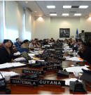 OAS Permanent Council