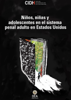 La situacin de nios y nias y adolescentes en el sistema penal de justicia para adultos en Estados Unidos