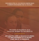 Portada Declaración Igualdad de Genero