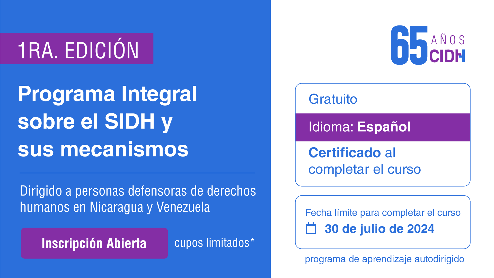 Programa integral sobre el SIDH y sus Mecanismos