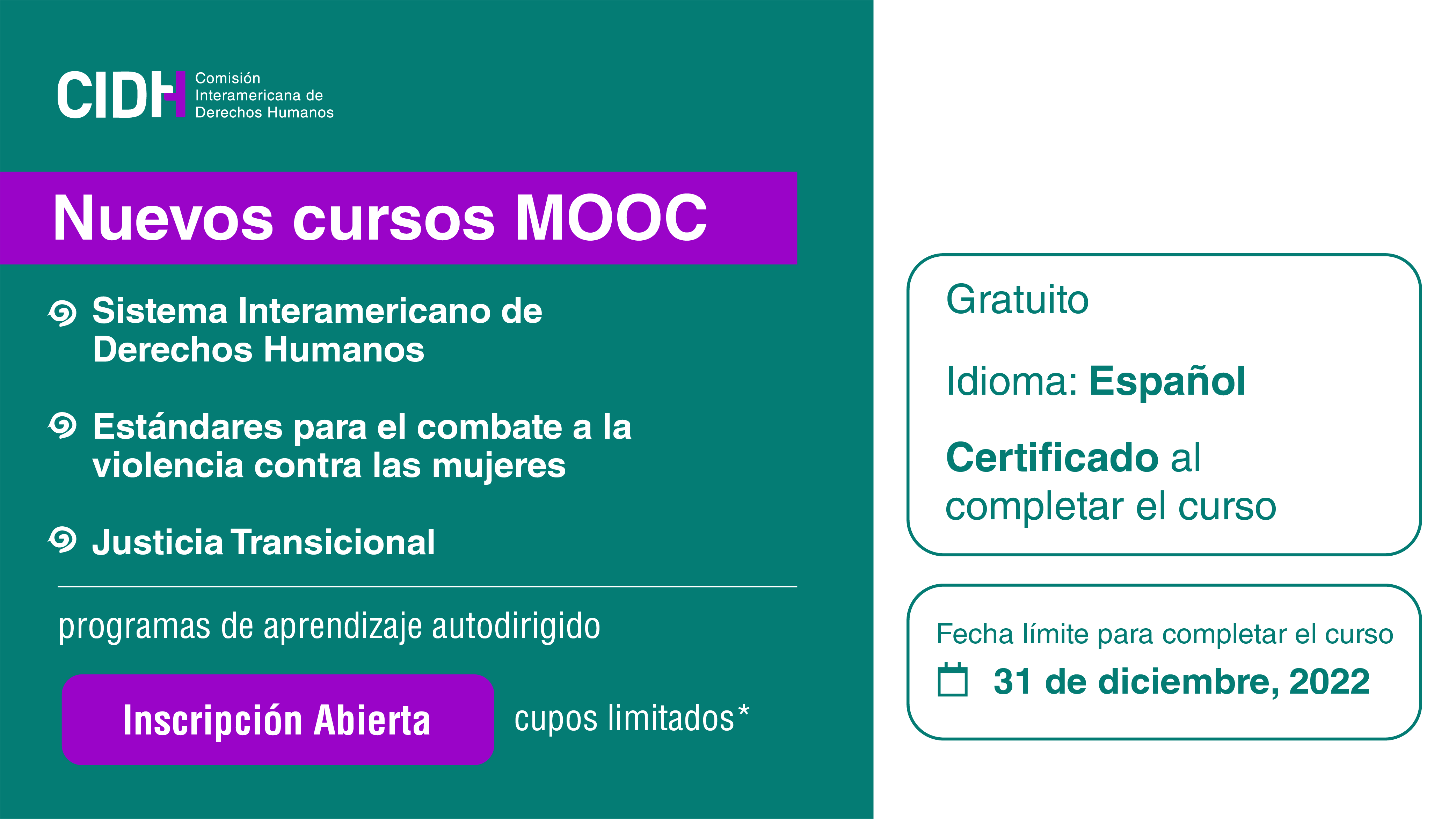 Sistema interamericano de derechos humanos, Estndares para el combate de la violencia contra las mujeres, y Justicia transnacional