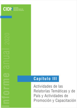 ACTIVIDADES DE LAS RELATORAS TEMTICAS Y DE PAS Y ACTIVIDADES DE PROMOCIN Y CAPACITACIN