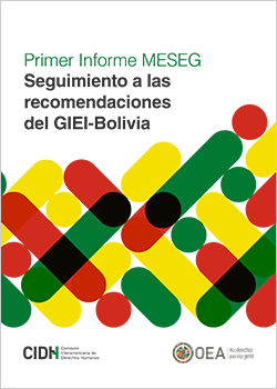 Primer Informe MESEG: seguimiento a las recomendaciones del GIEI-Bolivia