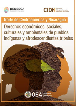 The economic, social, cultural, and environmental rights of indigenous peoples and tribal people of African descent in El Salvador, Guatemala, Honduras, and Nicaragua