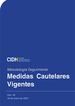 Metodologa seguimiento: Medidas cautelares vigentes