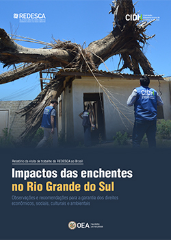 Impactos das inundaes no Rio Grande do Sul: observaes e recomendaes para a garantia dos direitos econmicos, sociais, culturais e ambientais