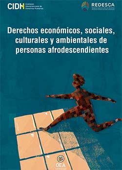 Derechos econmicos, sociales, culturales y ambientales de las personas afrodescendientes, Estndares Interamericanos para la prevencin, combate y erradicacin de la discriminacin racial estructural