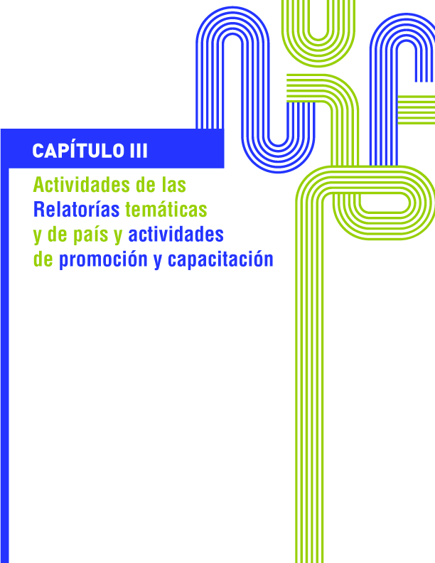 Actividades de las relatoras temticas y de pas y actividades de promocin y capacitacin