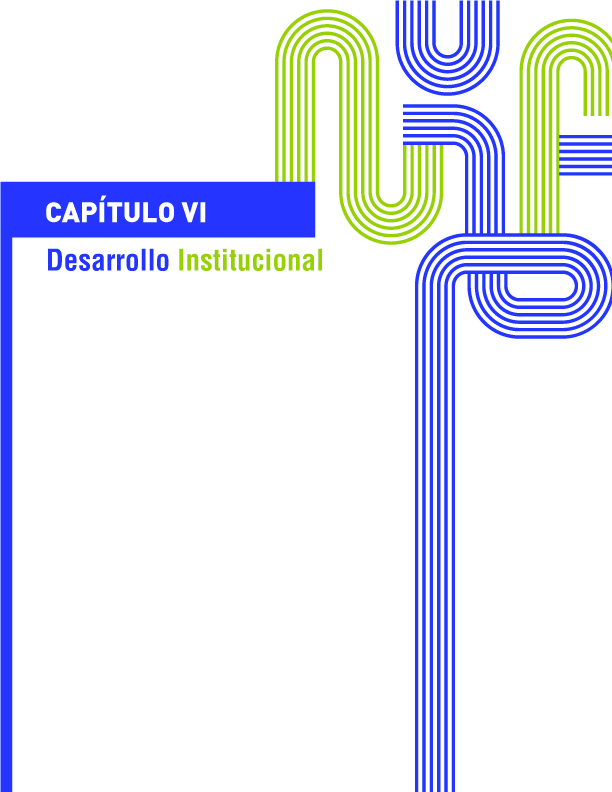 Desarrollo Institucional