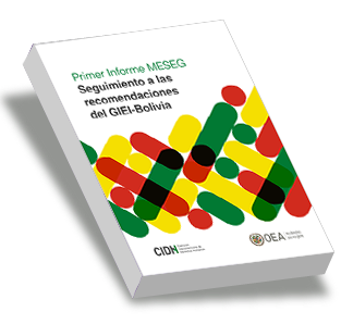 Primer Informe MESEG: Seguimiento a las recomendaciones del GIEI-Bolivia