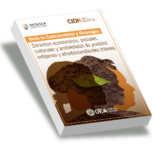 The economic, social, cultural, and environmental rights of indigenous peoples and tribal people of african descent in El Salvador, Guatemala, Honduras, and Nicaragua