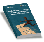 Derechos econmicos, sociales, culturales y ambientales de las personas afrodescendientes, Estndares Interamericanos para la prevencin, combate y erradicacin de la discriminacin racial estructural