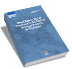 Gross Human Rights Violations in the Context of Social Protests in Nicaragua