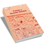 Protesta y Derechos Humanos
