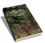 Indigenous Peoples in Voluntary Isolation and Initial Contact in the Americas