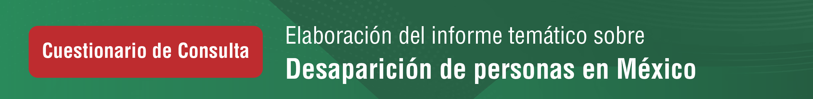 Cuestionario para elaboracin del informe temtico sobre la desaparicin de personas en Mxico