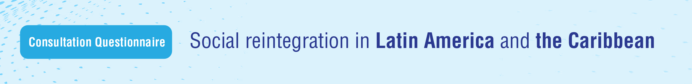 Consultation questionnaire on social reintegration in Latin America and the Caribbean