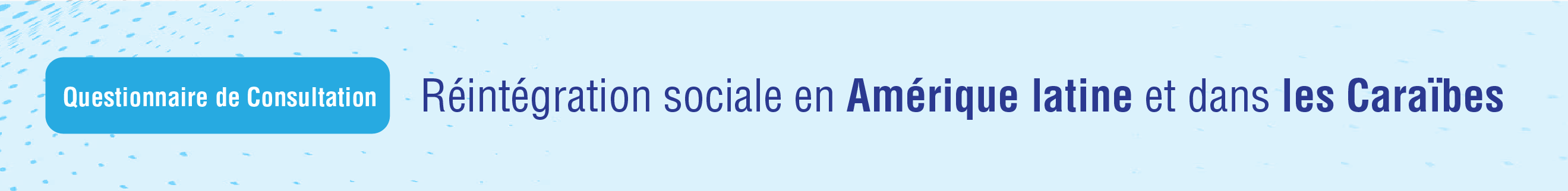 Questionnaire de consultation sur la rinsertion sociale en Amrique latine et dans les Carabes