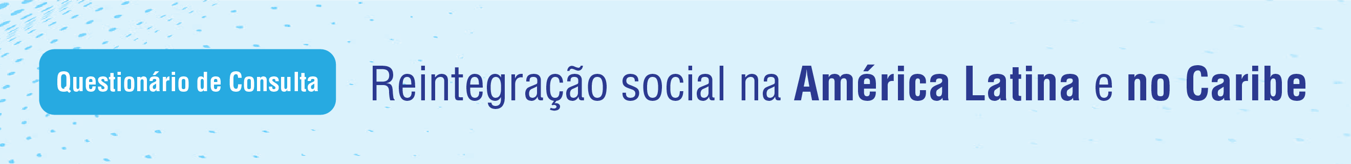 Questionrio de consulta sobre reintegrao social na Amrica Latina e no Caribe 