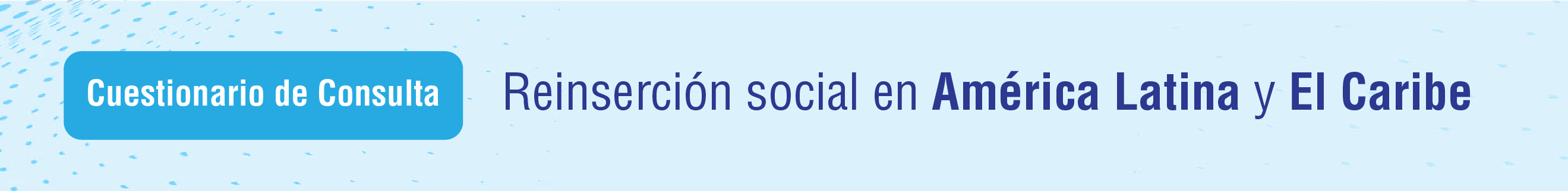 Cuestionario de consulta sobre reinsercin social en Amrica latina y el Caribe