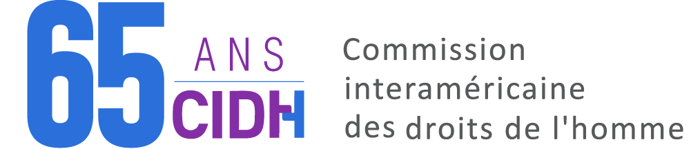 CIDH Logo