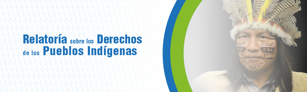 Relatora sobre los Derechos de los Pueblos Indgenas