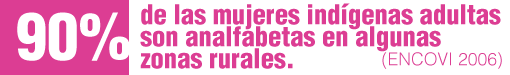 En algunas comunidades del área rural, el analfabetismo en las mujeres indígenas adultas alcanza el 90%, situación que plantea un compromiso importante en la formación educativa de las mujeres indígenas. INE. ENCOVI, 2006.