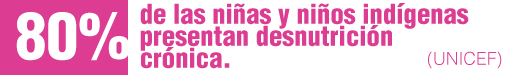 Según UNICEF, cuatro de cada diez niños y niñas (43,4%) menores de cinco años presenta desnutrición crónica, porcentaje que aumenta a un 80% en niños y niñas indígenas,