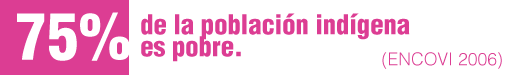 Al respecto, la Encuesta Nacional de Condiciones de Vida (ENCOVI) realizada en 2006 identificó que el 74,8% de la población indígena era pobre, frente a un 36,2% de población no indígena.
