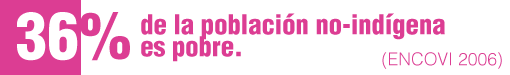 Al respecto, la Encuesta Nacional de Condiciones de Vida (ENCOVI) realizada en 2006 identificó que el 74,8% de la población indígena era pobre, frente a un 36,2% de población no indígena.