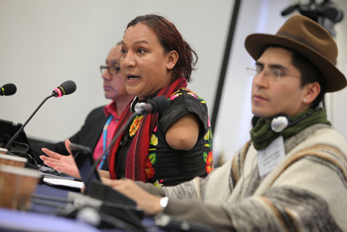Situación de derechos humanos de indígenas lesbianas, gays, trans, bisexuales e intersex en las Américas. Ronald Céspedes, Nación Quechua – Bolivia / Amaranta Gómez Regalado, Nación Zapoteca – México.