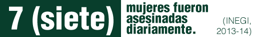 Según el INEGI, entre 2013 y 2014 siete mujeres fueron asesinadas diariamente en México.