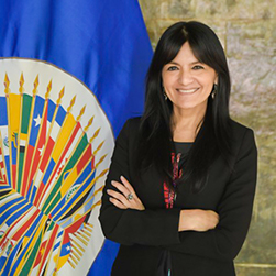 Sesin Ordinaria del Consejo Permanente de la OEA, Conmemoracin del 50 aniversario del golpe de Estado en Chile