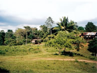 Members of the Mayagna (Sumo) community of Awas Tingni