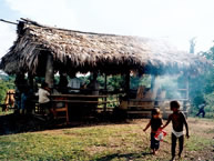 Members of the Mayagna (Sumo) community of Awas Tingni