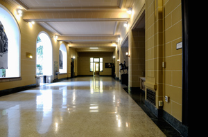 The Marcus Garvey Gallery (Interior Gallery)