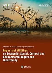 Impacts of Forest Fires on Economic, Social, Cultural, and Environmental Rights and Biodiversity