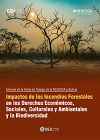 Impactos de los incendios forestales en los derechos econmicos, sociales, culturales y ambientales y la biodiversidad